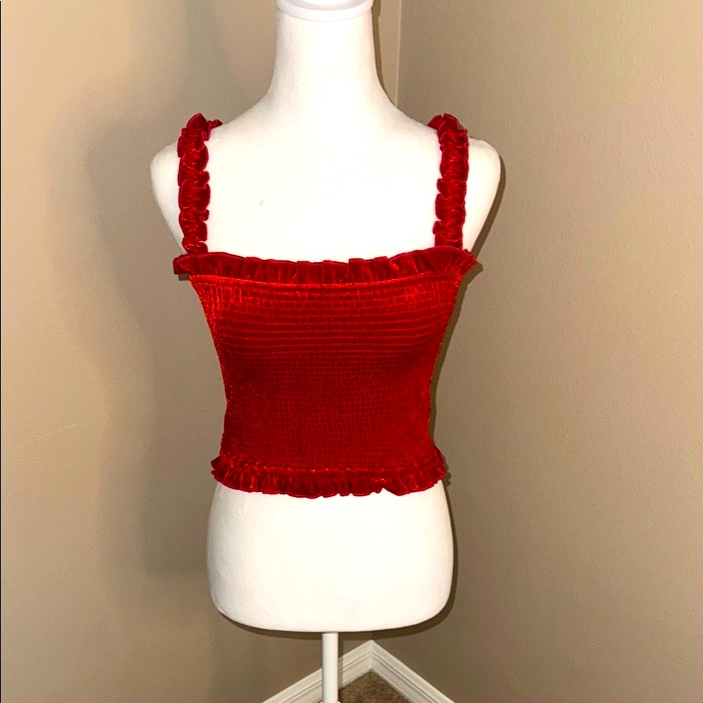 Privacy Please Scarlet Velvet Ruffle Crop Top